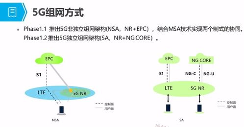 5G培訓(xùn)應(yīng)用篇一 5G概述、發(fā)展與演進(jìn)及人體干細(xì)胞技術(shù)的開(kāi)發(fā)與應(yīng)用