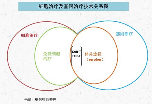 德恒律師事務(wù)所的專業(yè)視角 人體干細(xì)胞技術(shù)在北京與重慶的開(kāi)發(fā)與應(yīng)用法律實(shí)務(wù)