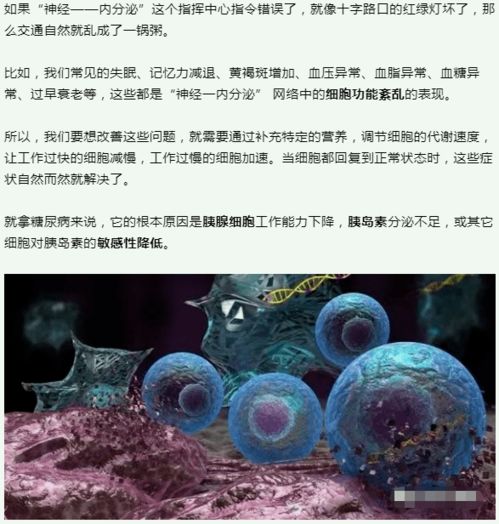干細(xì)胞 人體健康的基石與未來(lái)醫(yī)學(xué)的引擎