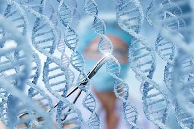 中國科學家靶向編輯長壽基因 讓老弱血管重獲“Q彈爽滑”，樹立干細胞技術(shù)新里程碑